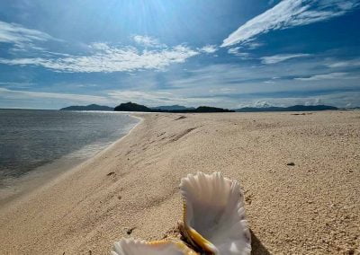 North Gorontalo Island Hopping & Cruising