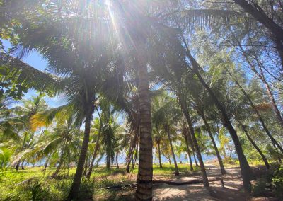 North Gorontalo Island Hopping & Cruising