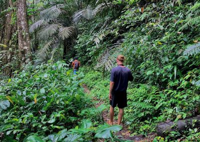 Bird Watching Gorontalo - Sulawesi