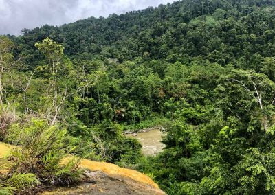 Bird Watching Gorontalo - Sulawesi