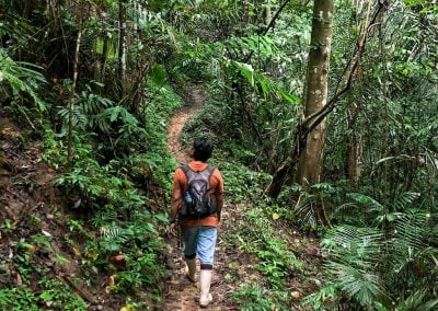 Bird Watching Gorontalo - Sulawesi