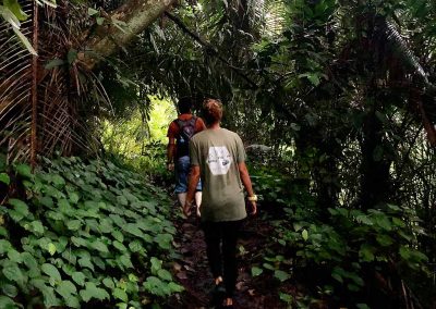 Bird Watching Gorontalo - Sulawesi