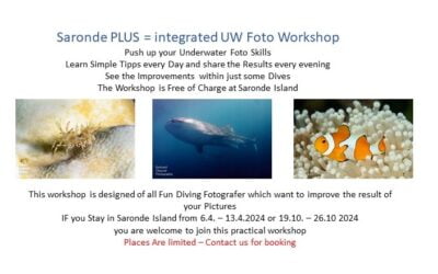 Saronde PLUS – Integrated Underwater Photo Workshop