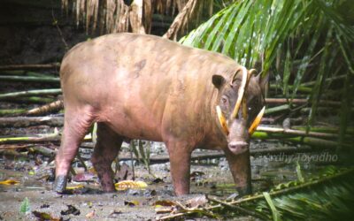 Nature and Adventure Trip