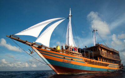 10% discount on July and Aug 2024 Trips with KLM SUNSHINE