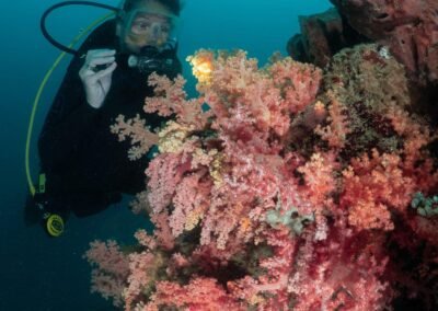 Diving Saronde - North Gorontalo